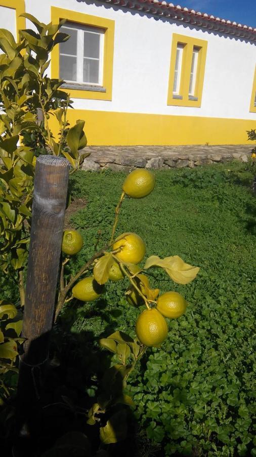 Casa Das Amoras Santo António das Areias Buitenkant foto